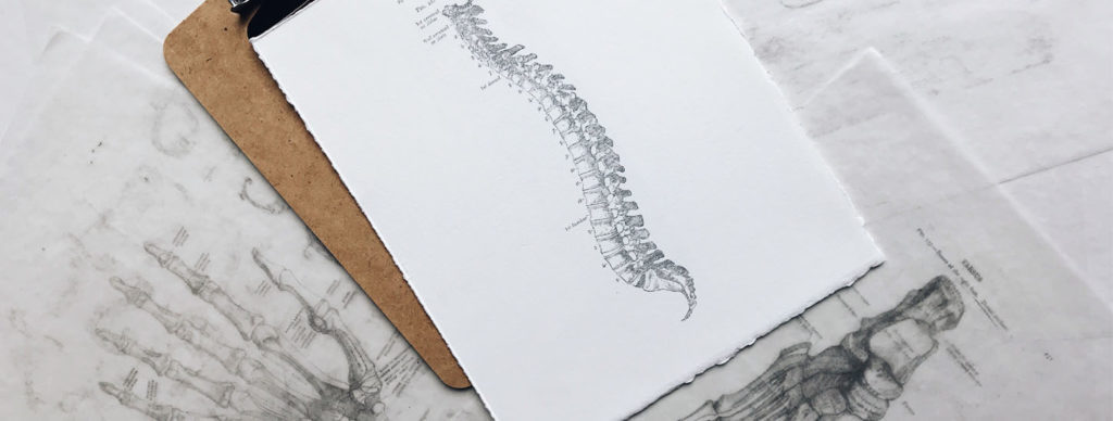 chiropractic care and the nervous system
